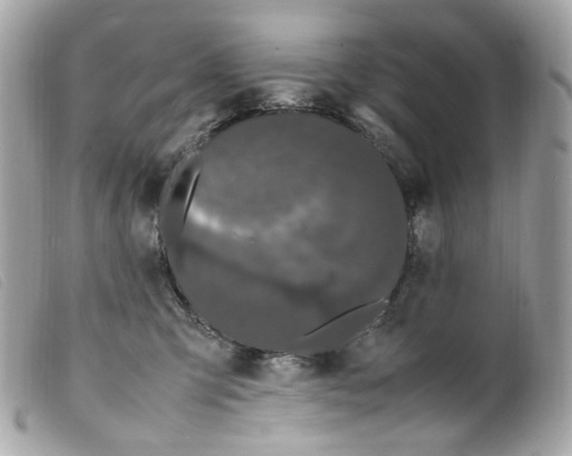 X0000099310423200805301158