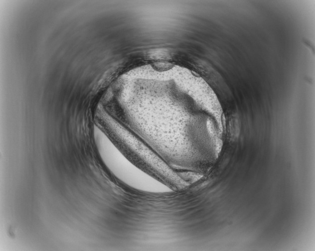 X0000099310424200805301158