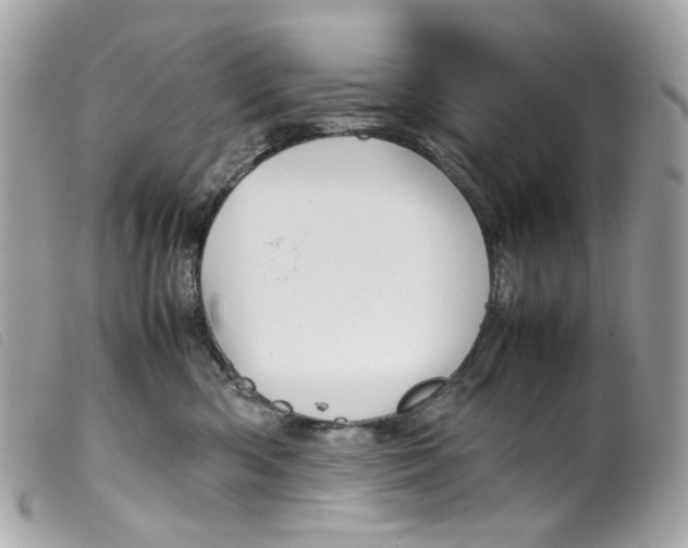 X0000099310426200805301158