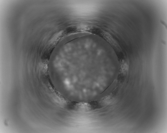 X0000099310427200805301158