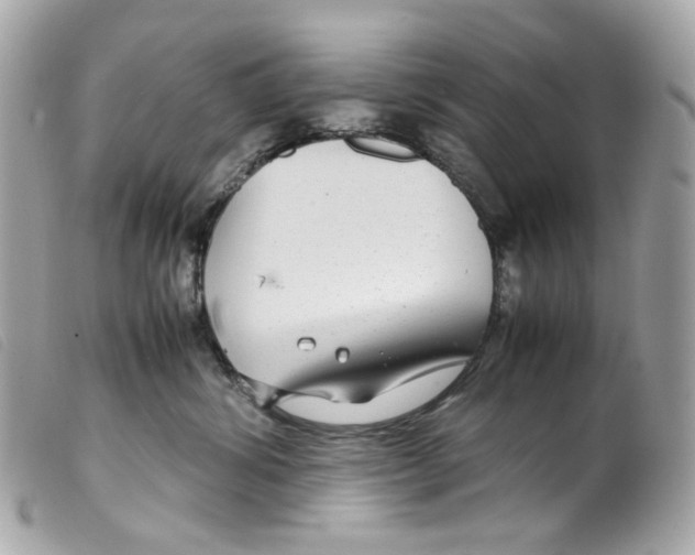 X0000099310428200805301158