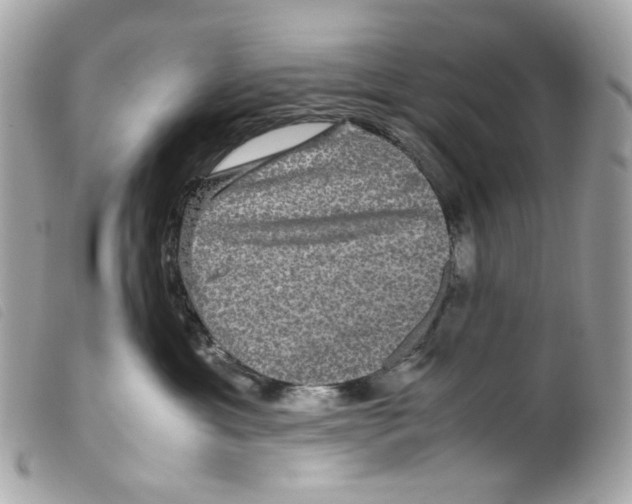 X0000099310429200805301158