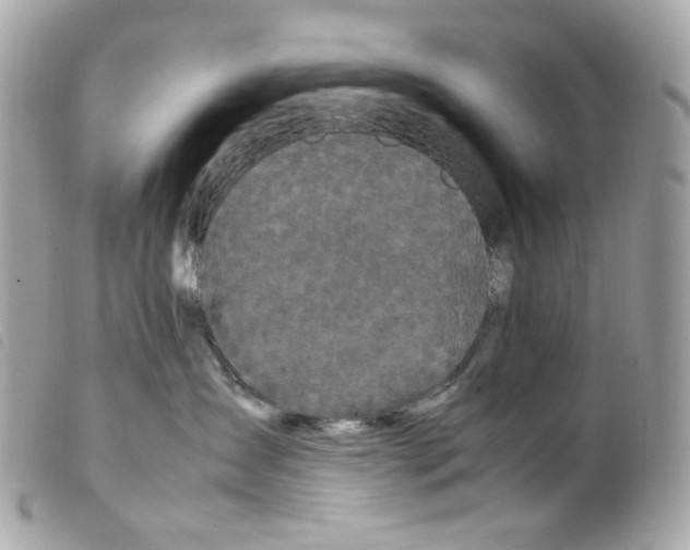 X0000099310431200805301158