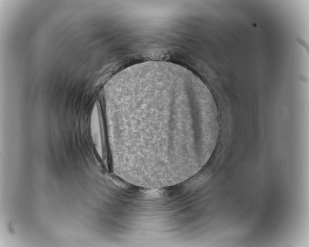 X0000099310432200805301158