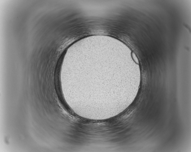 X0000099310433200805301157