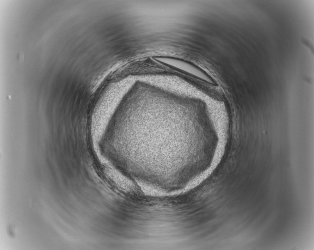 X0000099310434200805301157