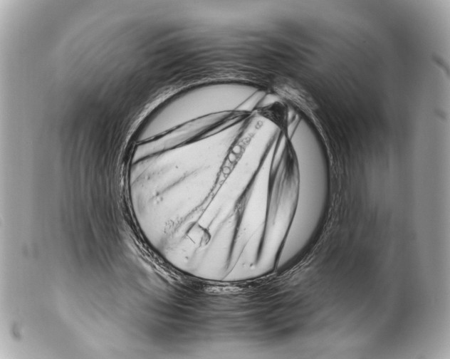 X0000099310435200805301157