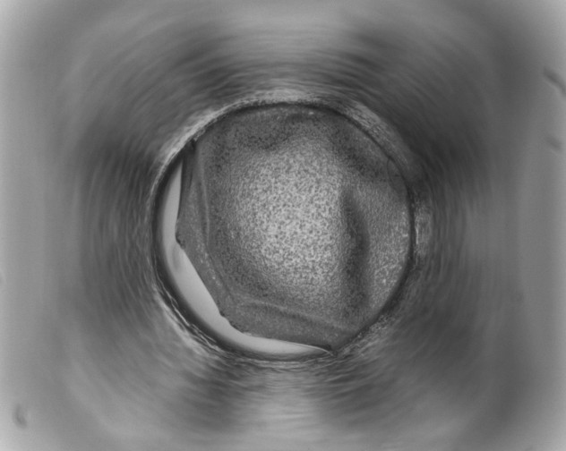 X0000099310436200805301157