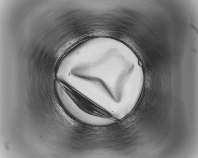 X0000099310437200805301157