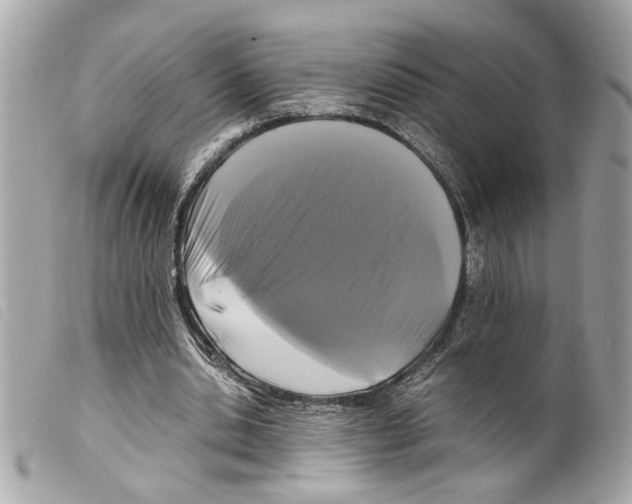 X0000099310438200805301157