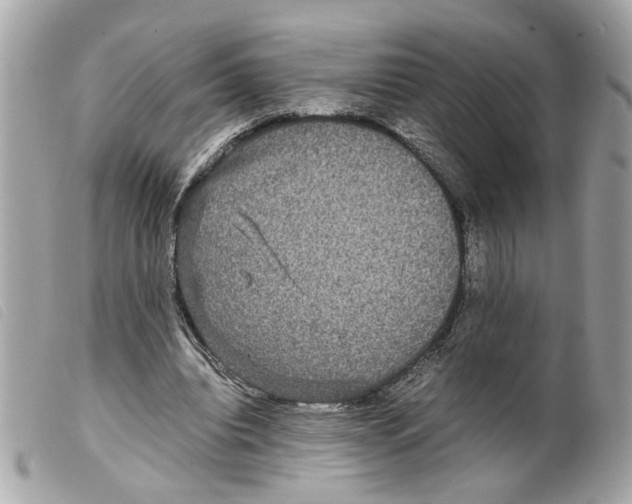 X0000099310440200805301157