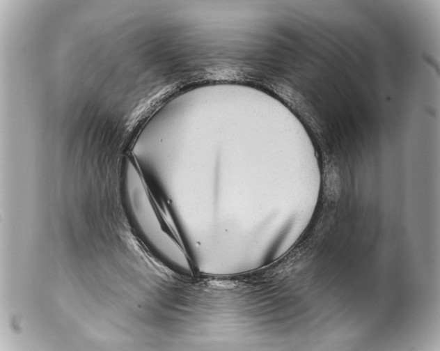 X0000099310442200805301157