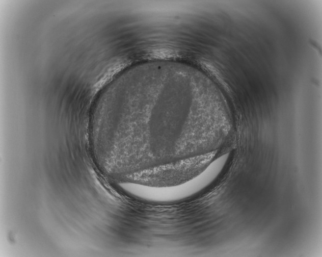 X0000099310443200805301157