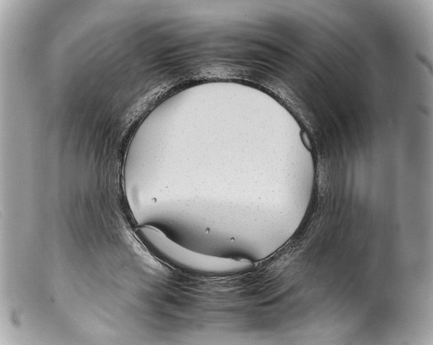 X0000099310445200805301157