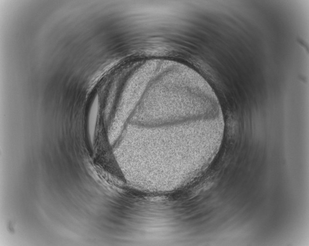 X0000099310446200805301157
