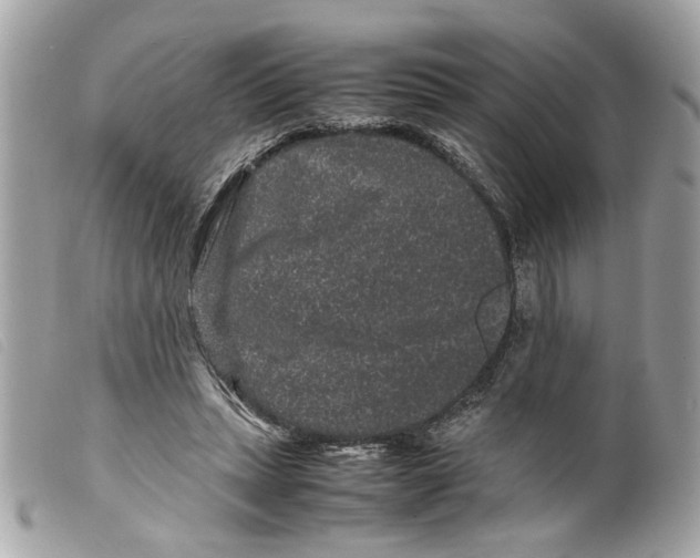 X0000099310447200805301157
