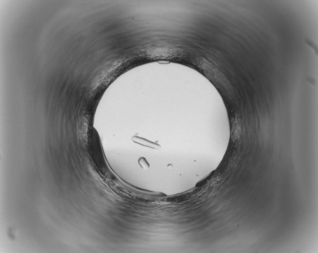 X0000099310448200805301157