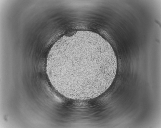 X0000099310449200805301157