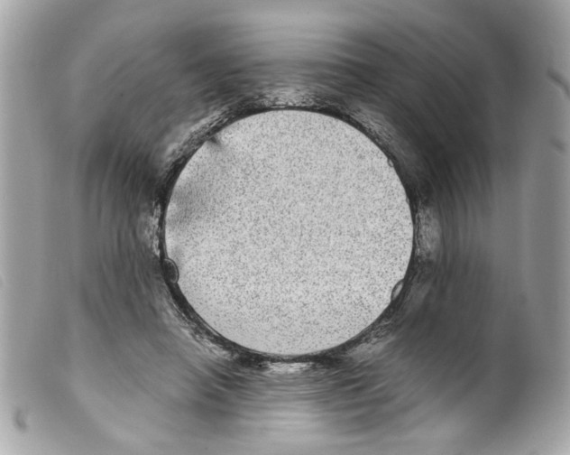 X0000099310450200805301157