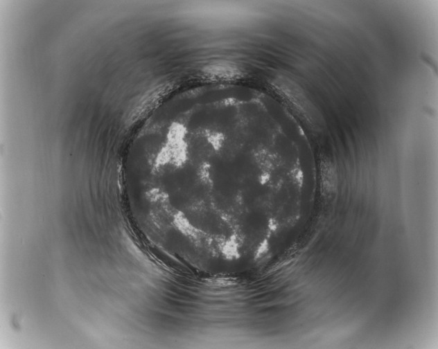 X0000099310451200805301157