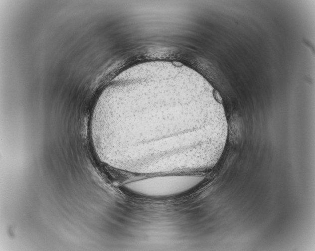 X0000099310454200805301158