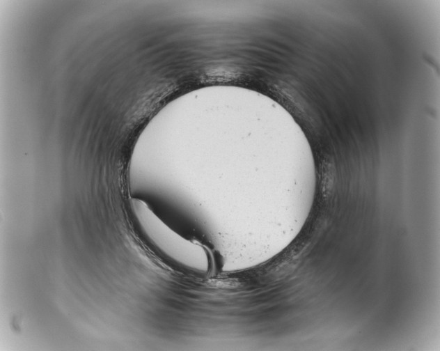 X0000099310455200805301158