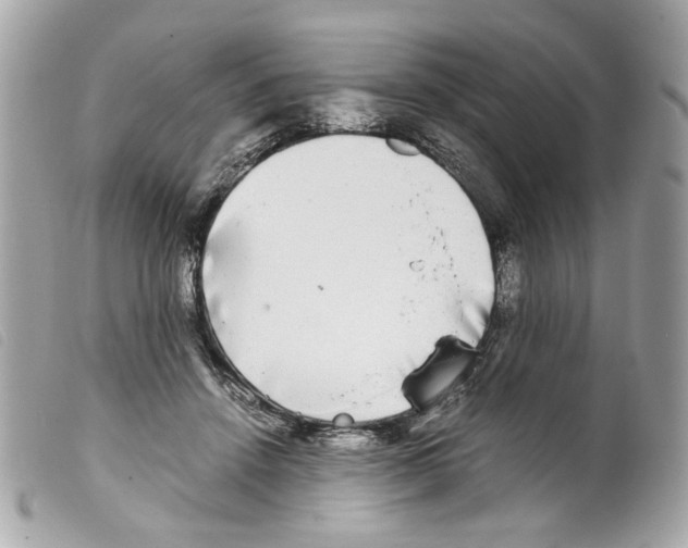 X0000099310456200805301158