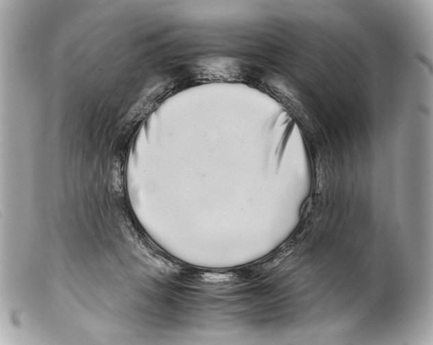X0000099310457200805301158