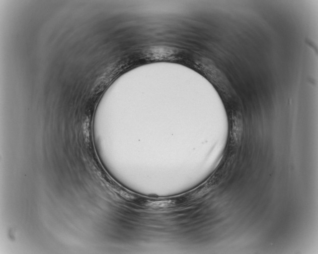 X0000099310461200805301158