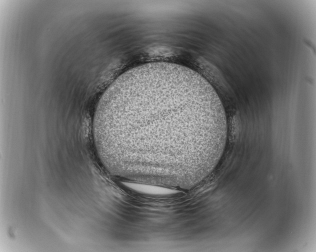 X0000099310463200805301158