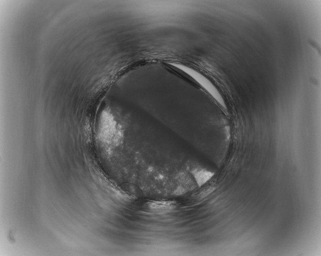 X0000099310465200805301158