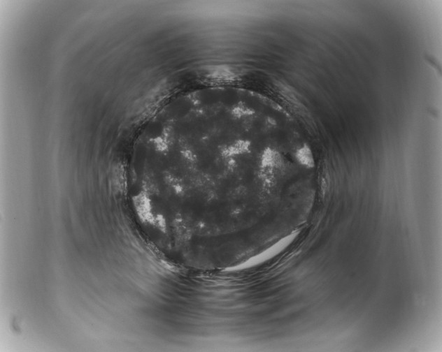 X0000099310467200805301158