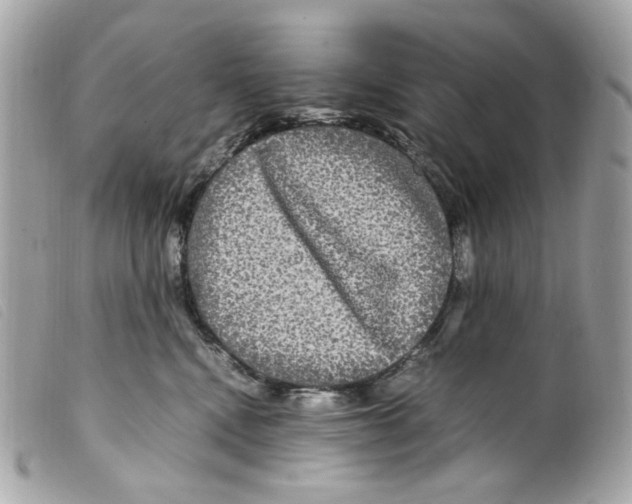 X0000099310472200805301158