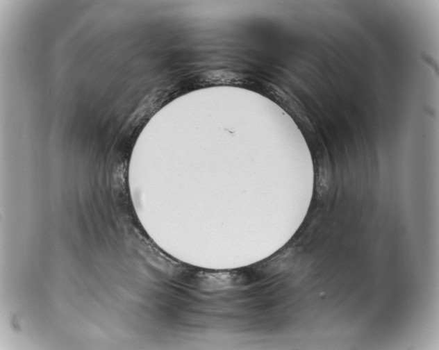 X0000099310473200805301158