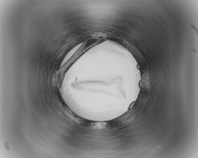X0000099310474200805301158