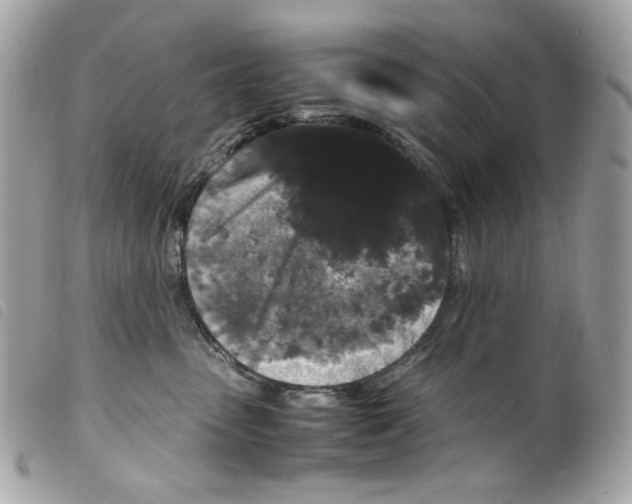 X0000099310475200805301158