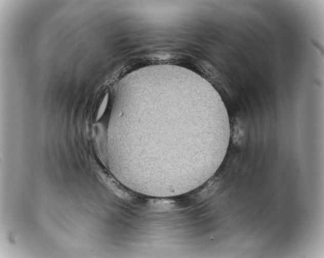 X0000099310476200805301158
