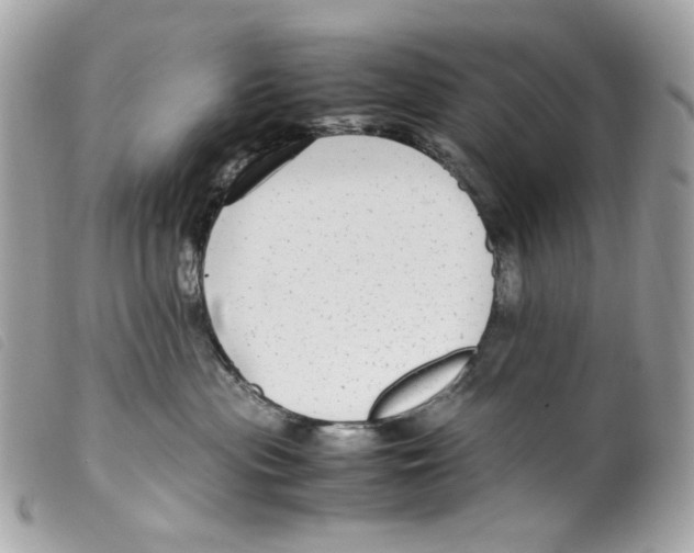 X0000099310477200805301158