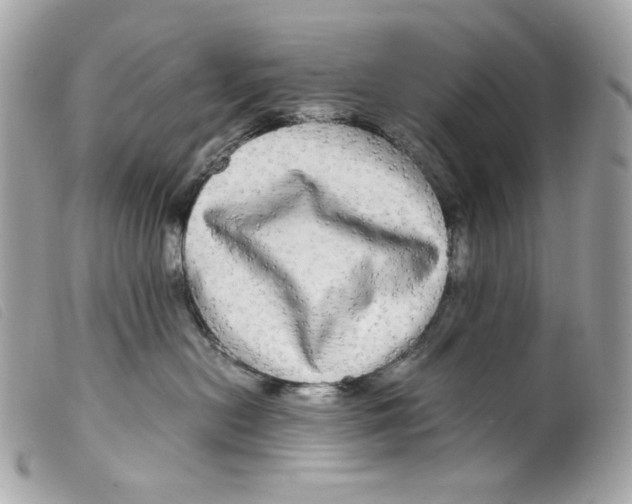 X0000099310478200805301158