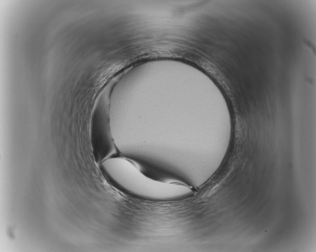 X0000099310481200805301157