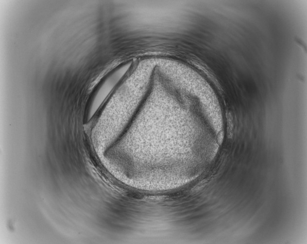X0000099310482200805301157