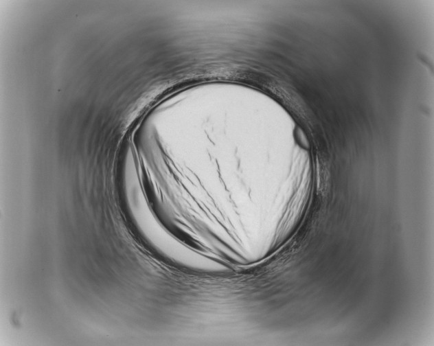 X0000099310483200805301157
