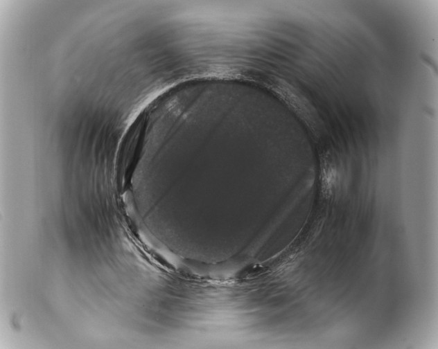 X0000099310484200805301157