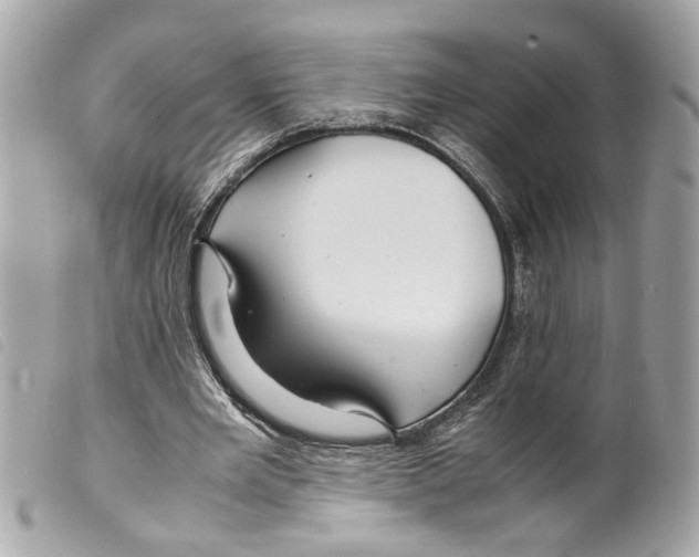 X0000099310485200805301157