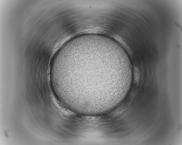 X0000099310486200805301157