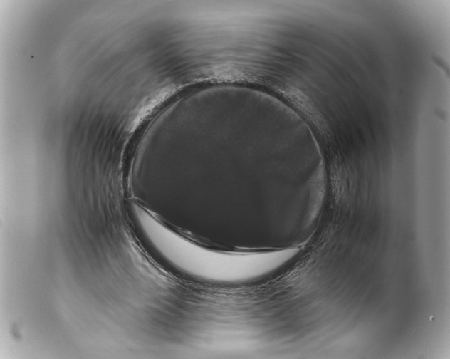 X0000099310488200805301157