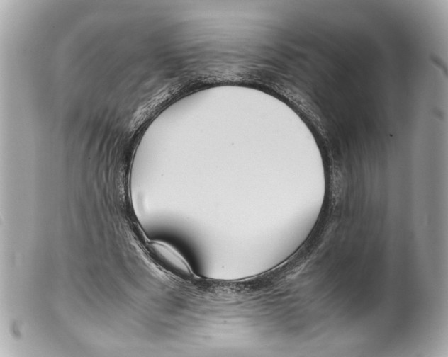 X0000099310489200805301157