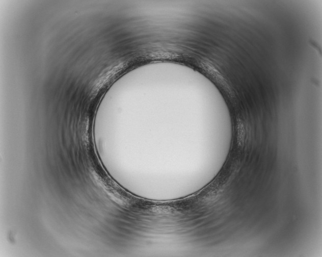 X0000099310490200805301157