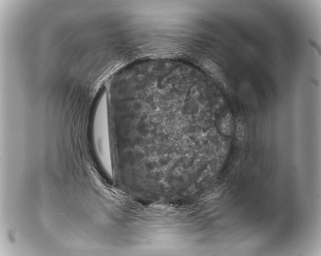 X0000099310491200805301157