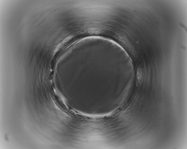 X0000099310492200805301157
